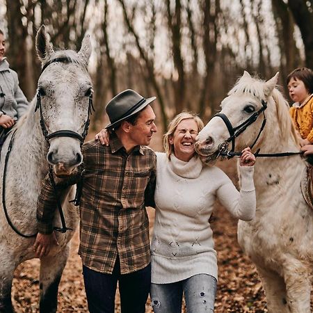 Tmbin'S Barn - Nature, Horses, Family Sežana エクステリア 写真