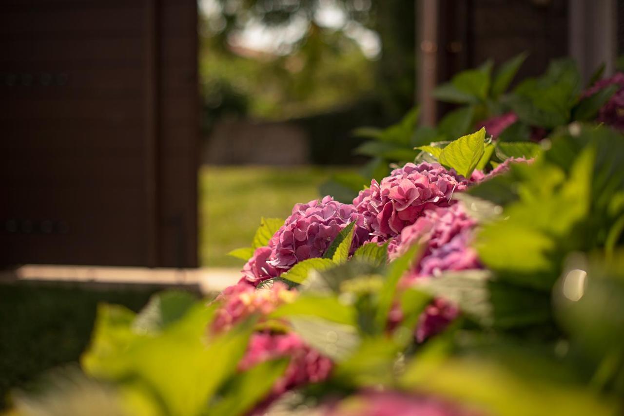 Tmbin'S Barn - Nature, Horses, Family Sežana エクステリア 写真