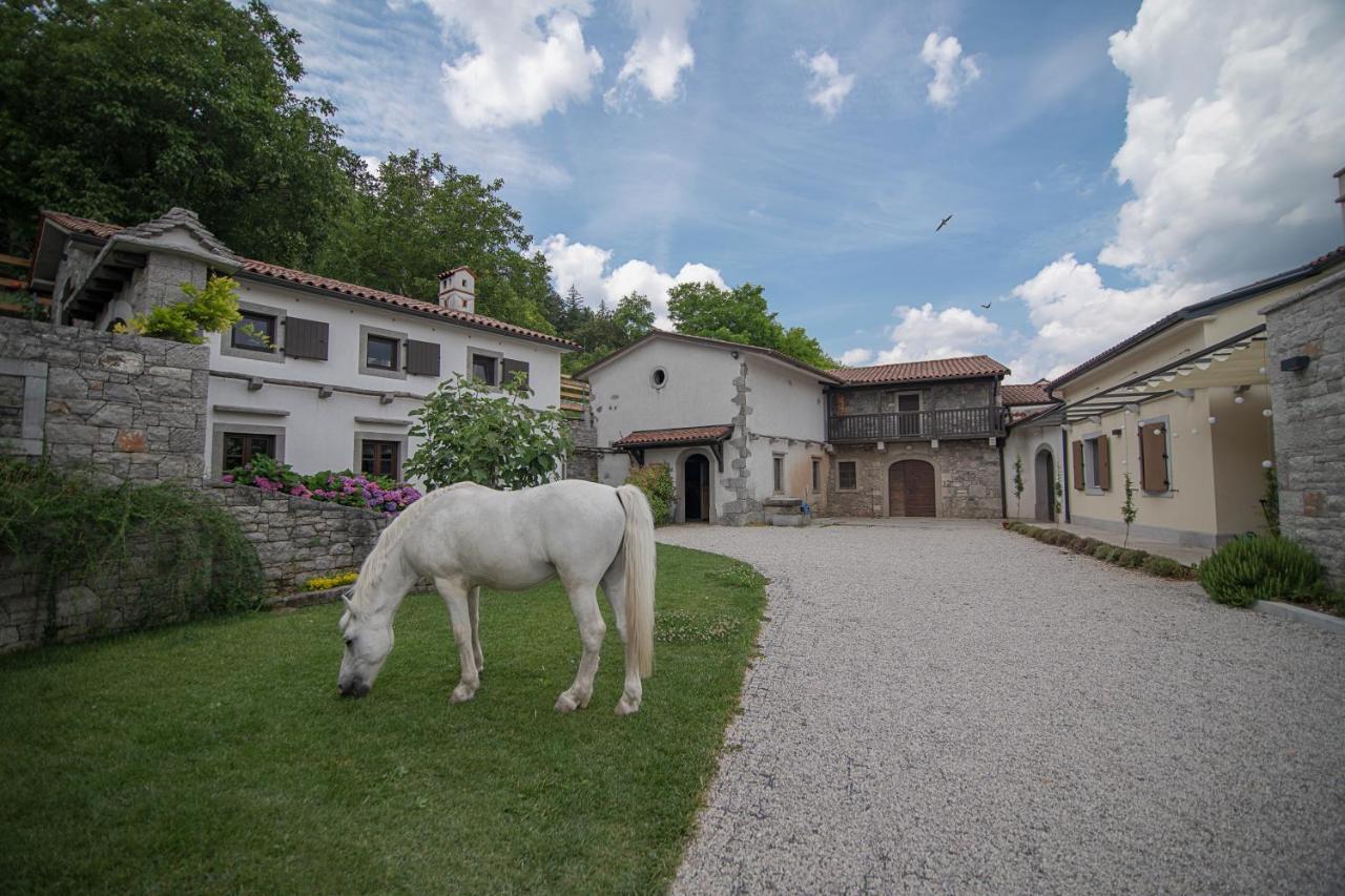 Tmbin'S Barn - Nature, Horses, Family Sežana エクステリア 写真