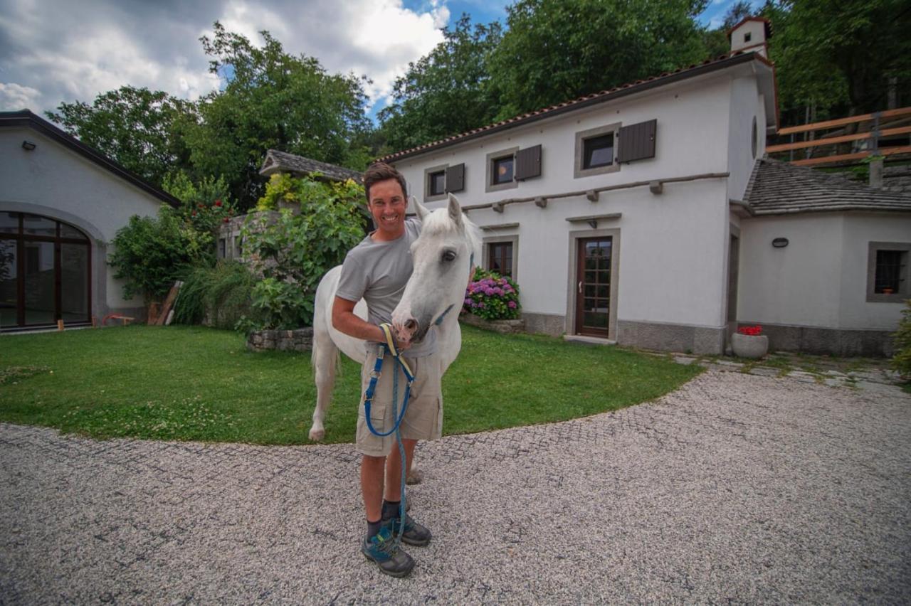 Tmbin'S Barn - Nature, Horses, Family Sežana エクステリア 写真