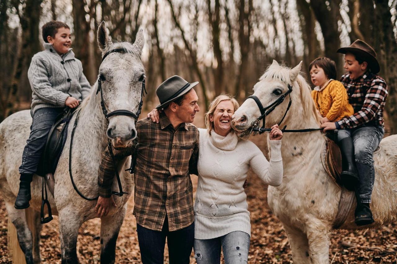 Tmbin'S Barn - Nature, Horses, Family Sežana エクステリア 写真