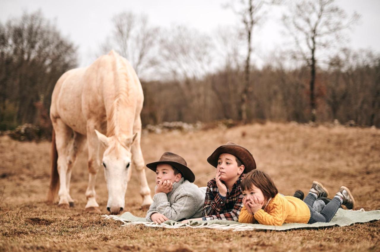 Tmbin'S Barn - Nature, Horses, Family Sežana エクステリア 写真