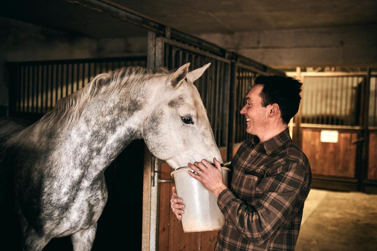 Tmbin'S Barn - Nature, Horses, Family Sežana エクステリア 写真