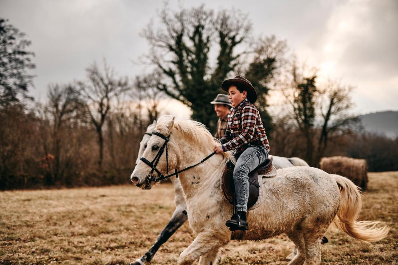 Tmbin'S Barn - Nature, Horses, Family Sežana エクステリア 写真