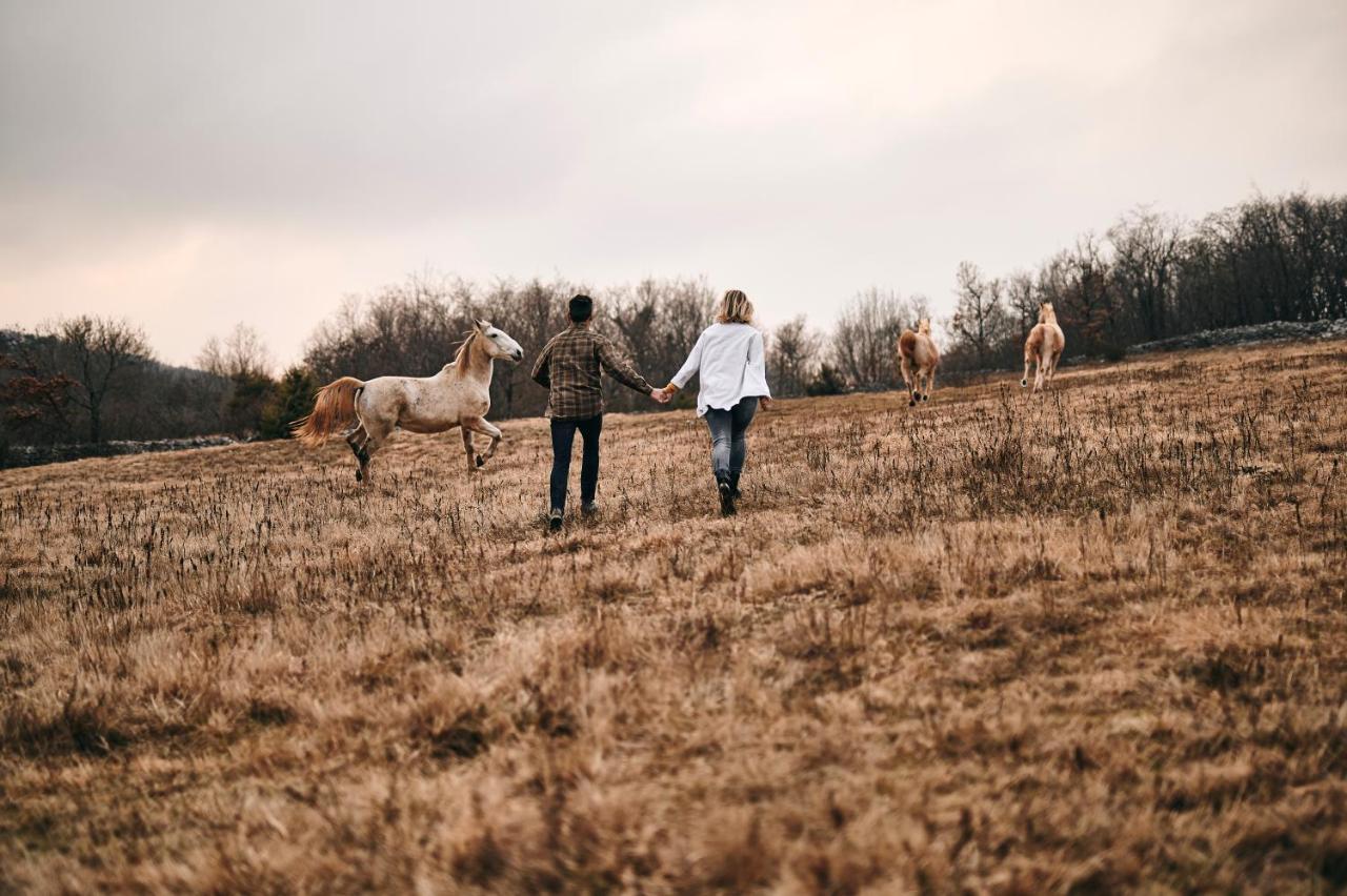 Tmbin'S Barn - Nature, Horses, Family Sežana エクステリア 写真