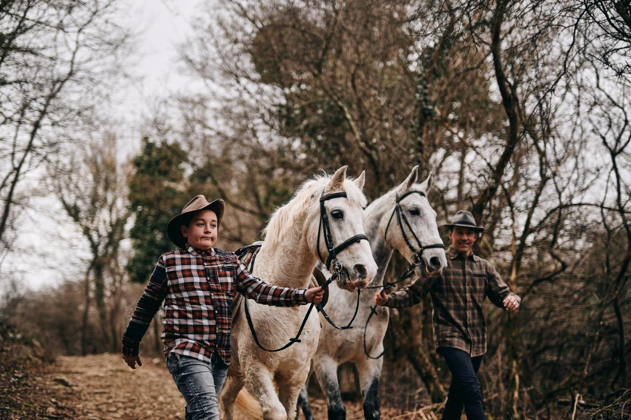 Tmbin'S Barn - Nature, Horses, Family Sežana エクステリア 写真