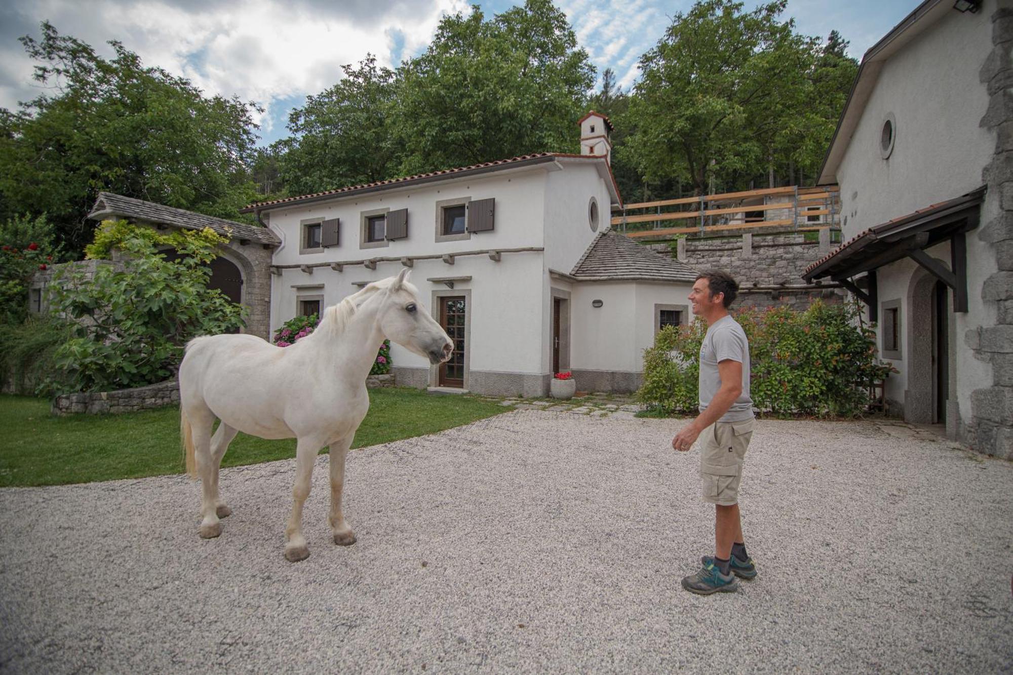 Tmbin'S Barn - Nature, Horses, Family Sežana エクステリア 写真